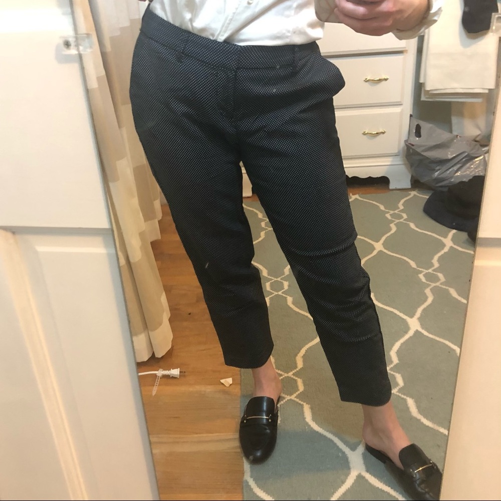 Printed Swiss Dot black Dress Pants